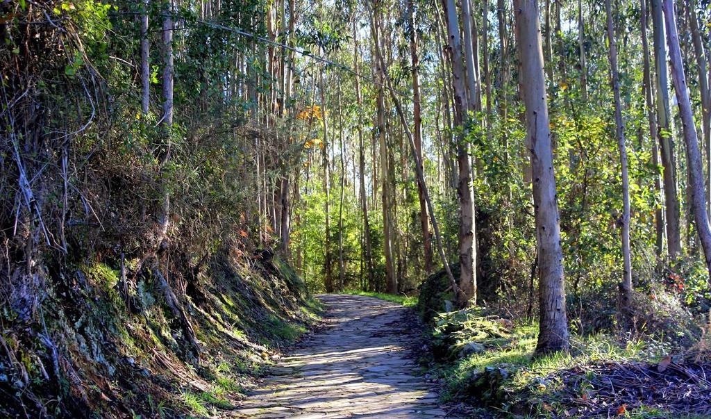 Apartamentos Turisticos La Flor Muros de Nalón المظهر الخارجي الصورة